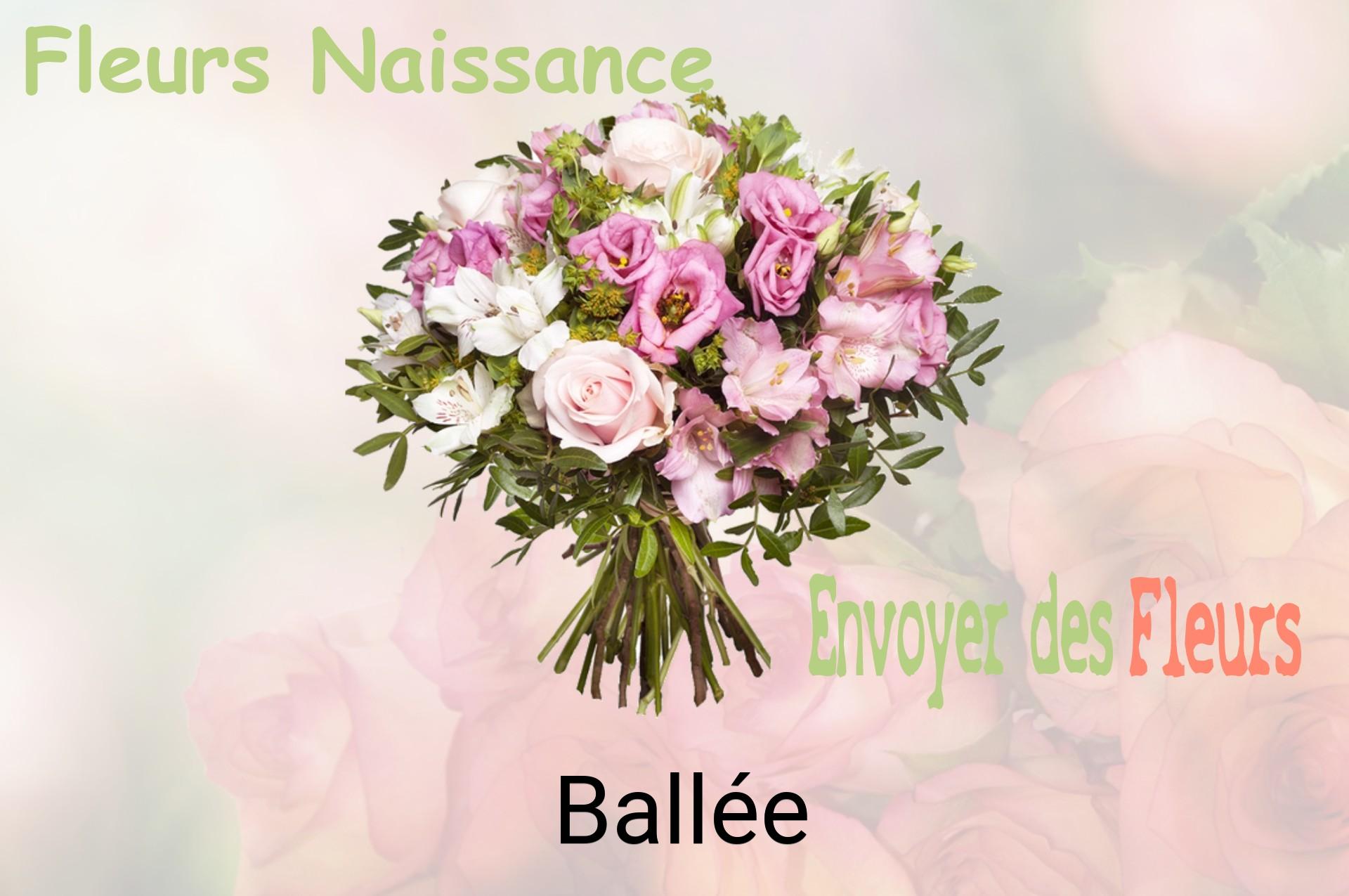 Bouquet de fleurs de naissance livré à Ballée